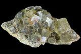 Yellow/Green Cubic Fluorite Crystal Cluster - Morocco #82803-1
